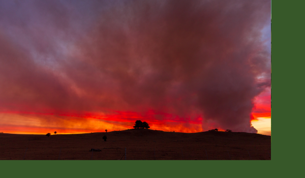 Planning in Bushfire Prone Areas Image