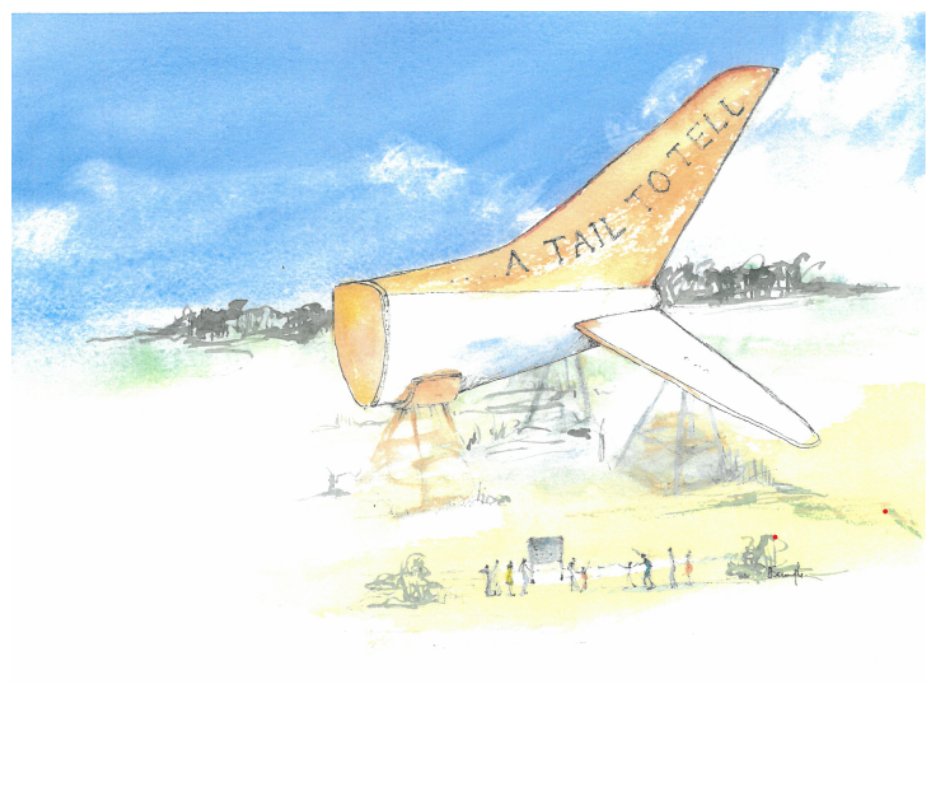 Council endorses local aero club's plane tail idea