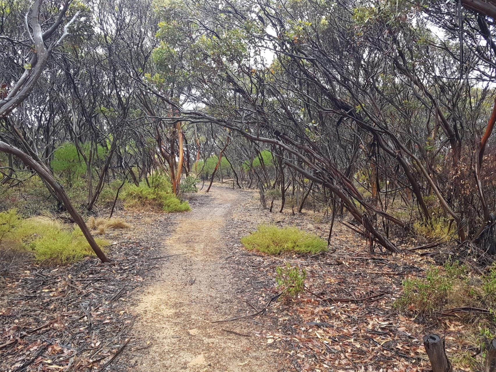 Invitation to nominate for the Trails Masterplan Consultative Committee
