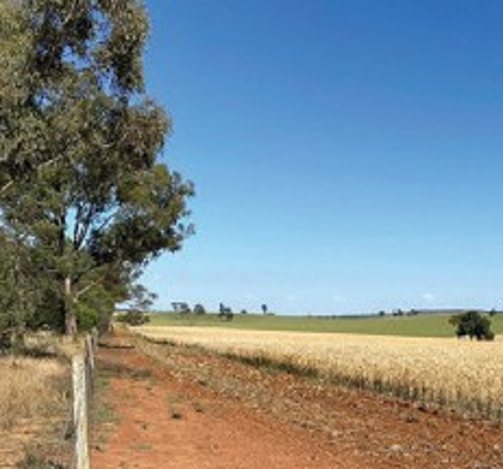 Firebreak Notice updated for 2026–27